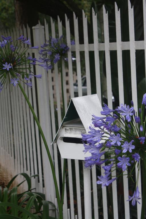 Bed and Breakfast Meander In Howick Exterior foto